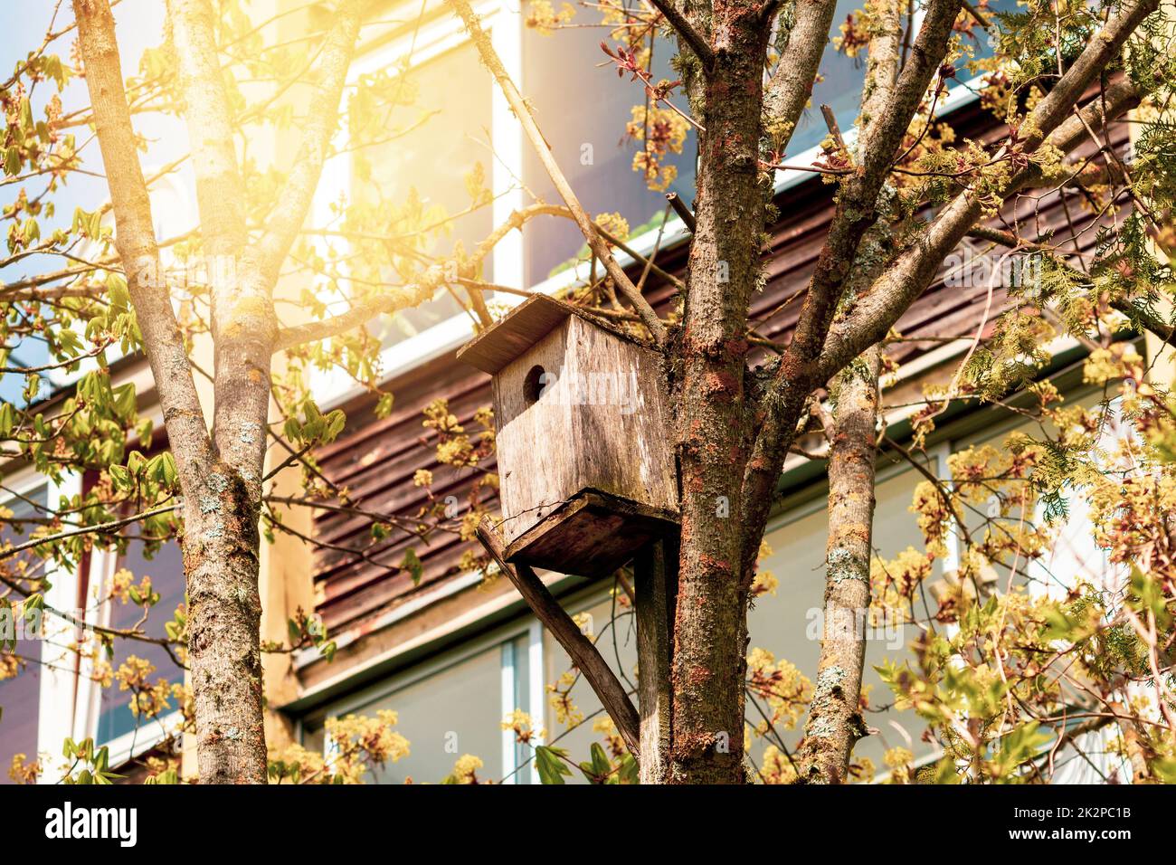 Birdhouse est suspendu sur des branches d'arbres à l'extérieur du bâtiment résidentiel Banque D'Images