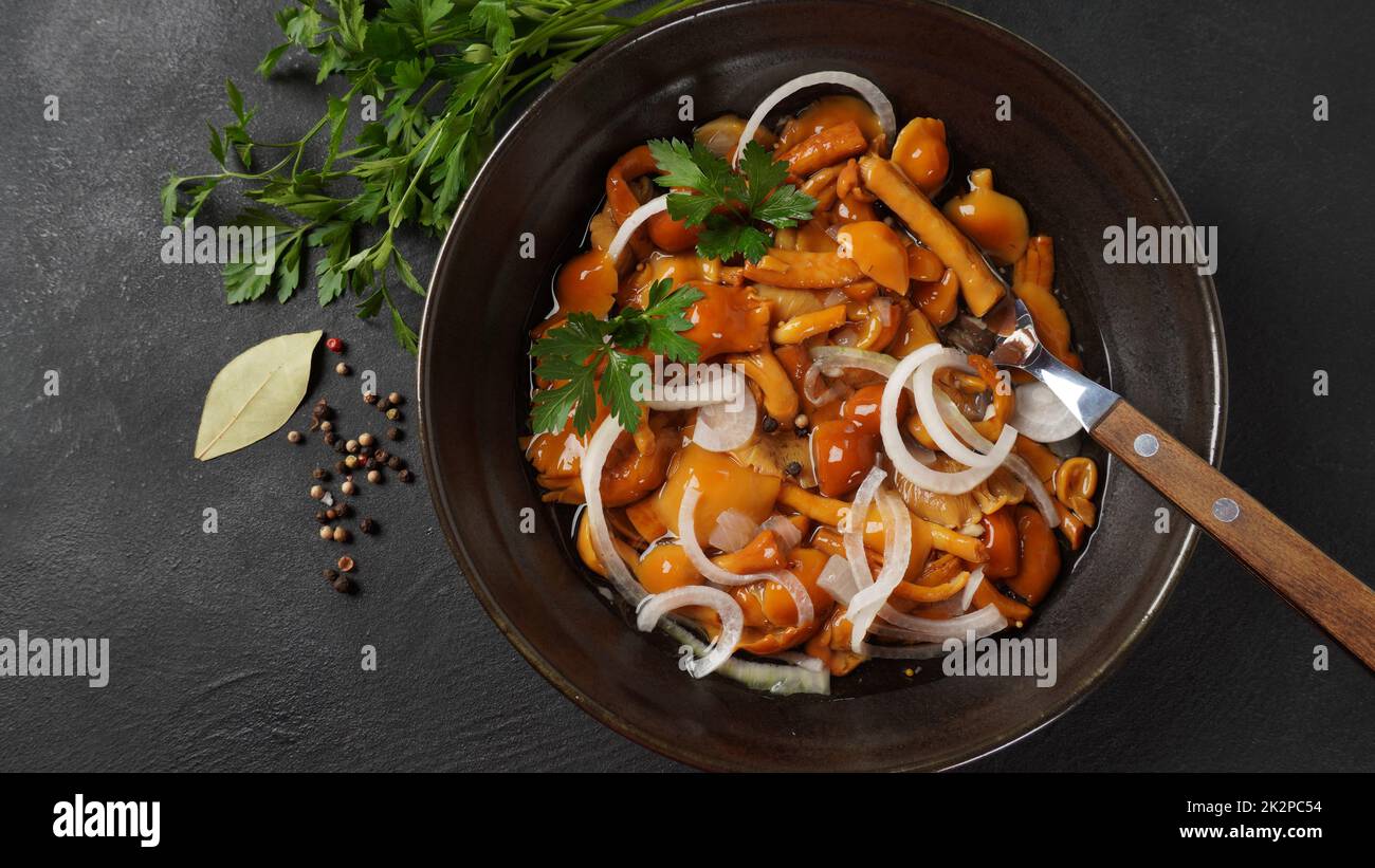 Champignon du miel sauvage mariné Armillaria mellea champignons avec épices et oignons dans le bol. Banque D'Images