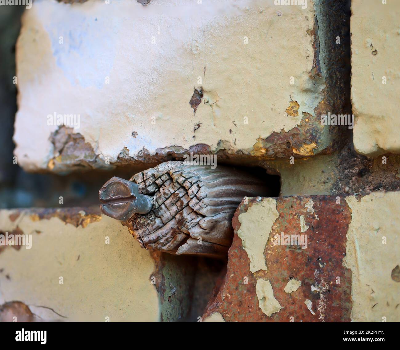 Dans les joints d'un mur de brique il y a une cheville en bois avec une vis à tête hexagonale. Banque D'Images