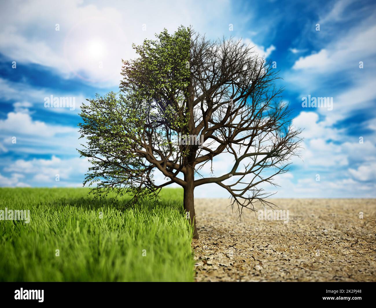 Chêne sur la moitié de l'herbe demi-terre désertique. Le changement climatique et le réchauffement de la planète. 3D illustration Banque D'Images