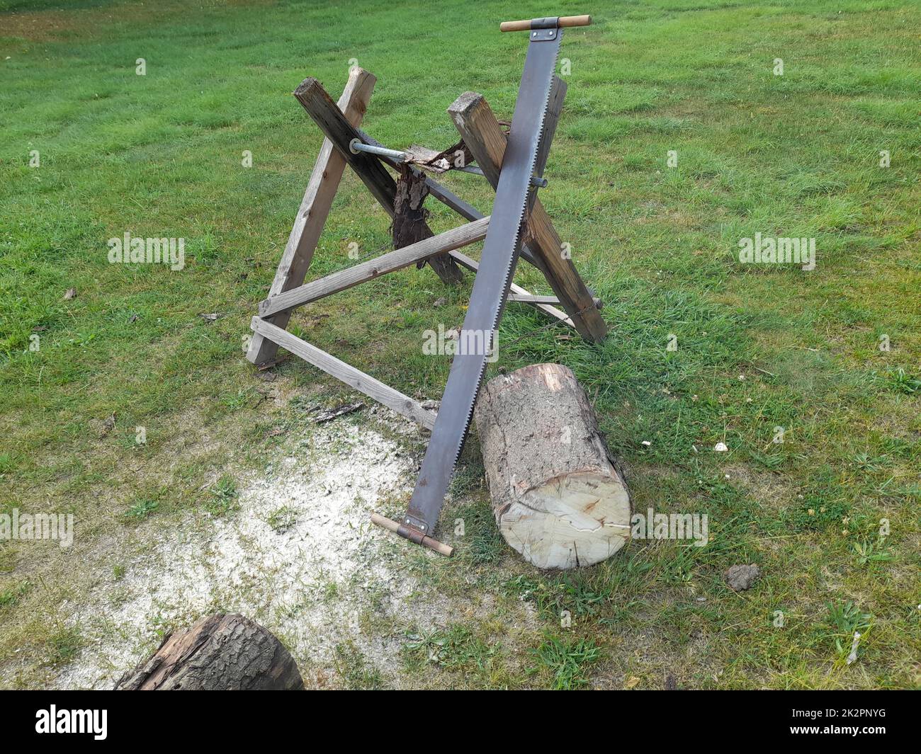 Sciage d'un tronc d'arbre pour un mariage, tradition pour les couples de mariée avec tronc d'arbre, scie et sawhorse Banque D'Images