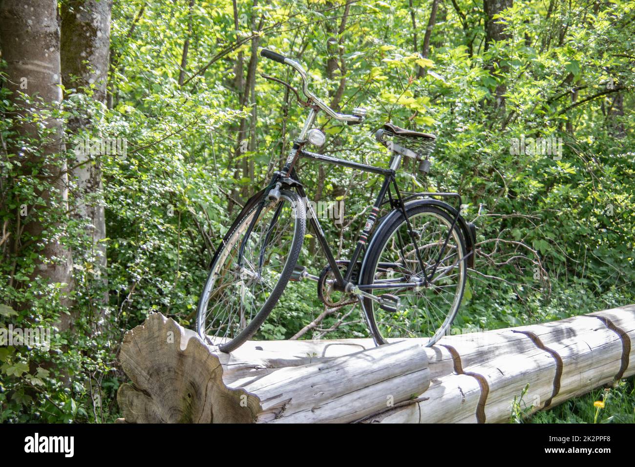 vieux vélo Banque D'Images