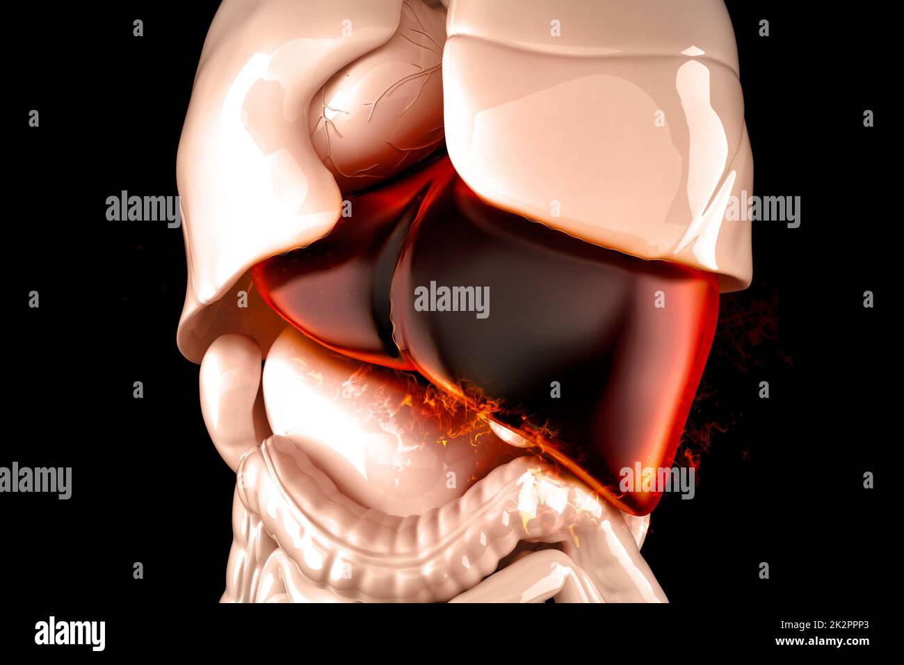 Gros plan sur le foie humain brûlant. Notion de maladie du foie. 3D illustration Banque D'Images