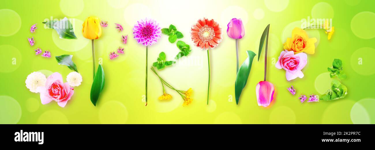 Fleurs et herbes avec le mot ressort. Composition florale créative. Banque D'Images