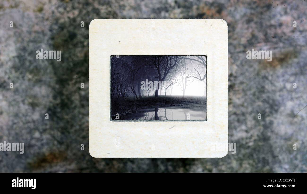 Arbres se reflétant dans l'eau sur un film de diapositives vintage Banque D'Images