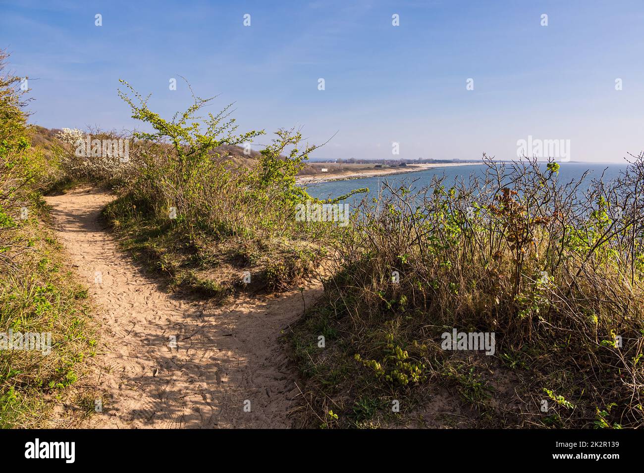 Vue sur une falaise sur l'île de Hiddensee, Allemagne Banque D'Images