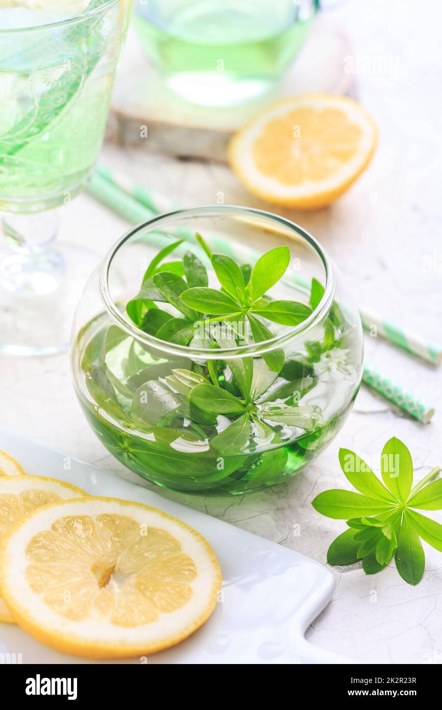 Limonade maison de Woodruff au citron (Galium odoratum) Banque D'Images