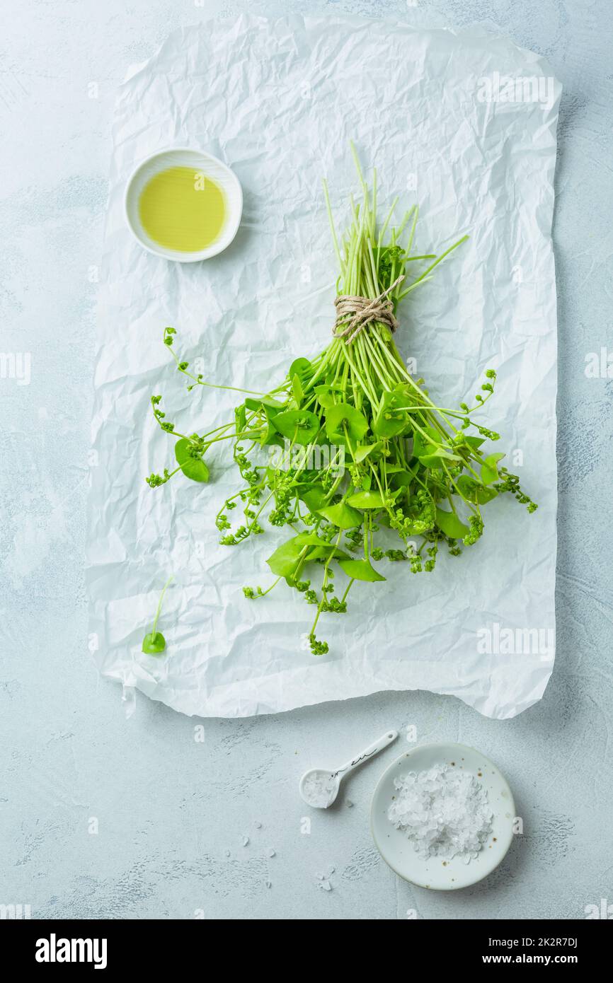 Purée d'hiver, laitue indienne, légumes verts sains pour salades crues et cuisson avec de l'huile d'olive et du sel Banque D'Images