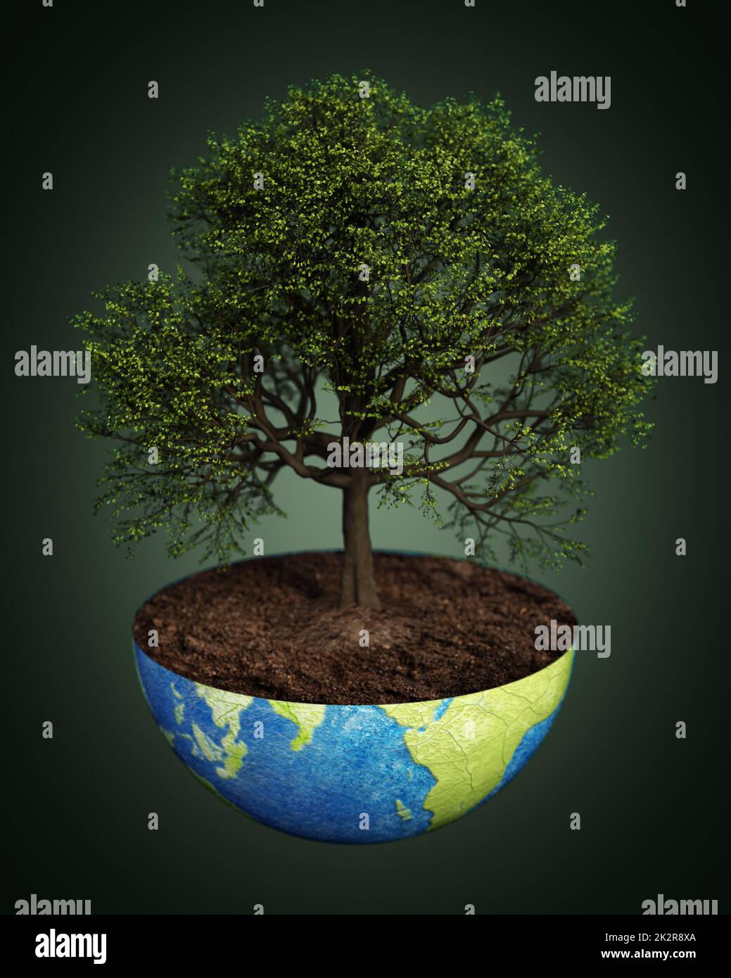 Chêne planté sur un demi-globe. Concept de durabilité. 3D illustration Banque D'Images