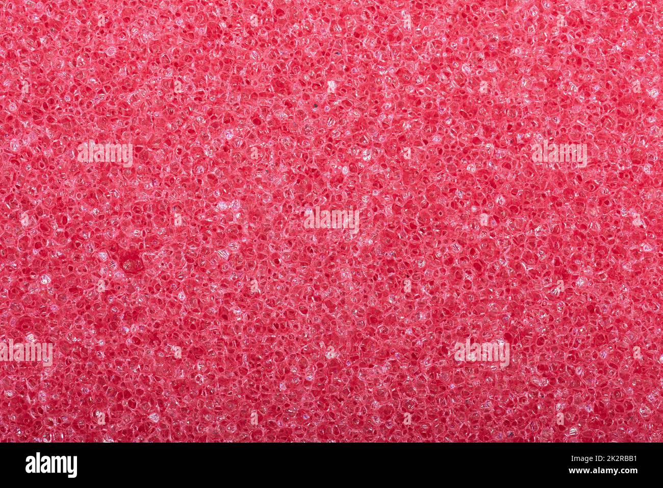 Texture de la surface de l'éponge Banque D'Images