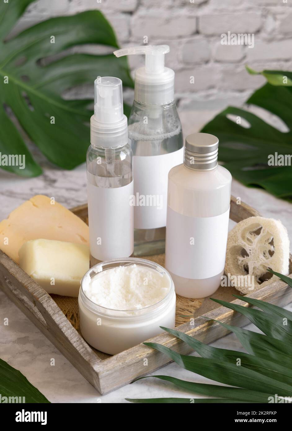 Flacons cosmétiques et accessoires de soin de la peau près des feuilles de monstera gros plan. Maquette d'emballage de marque Banque D'Images