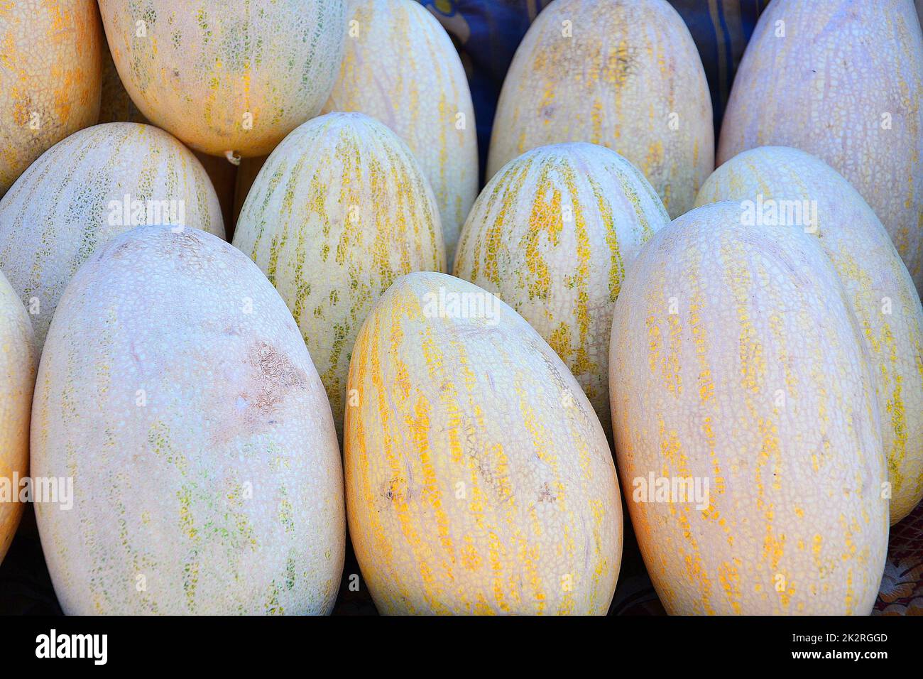 Melons mûrs (Latin Cucumis melo) de la nouvelle récolte Banque D'Images