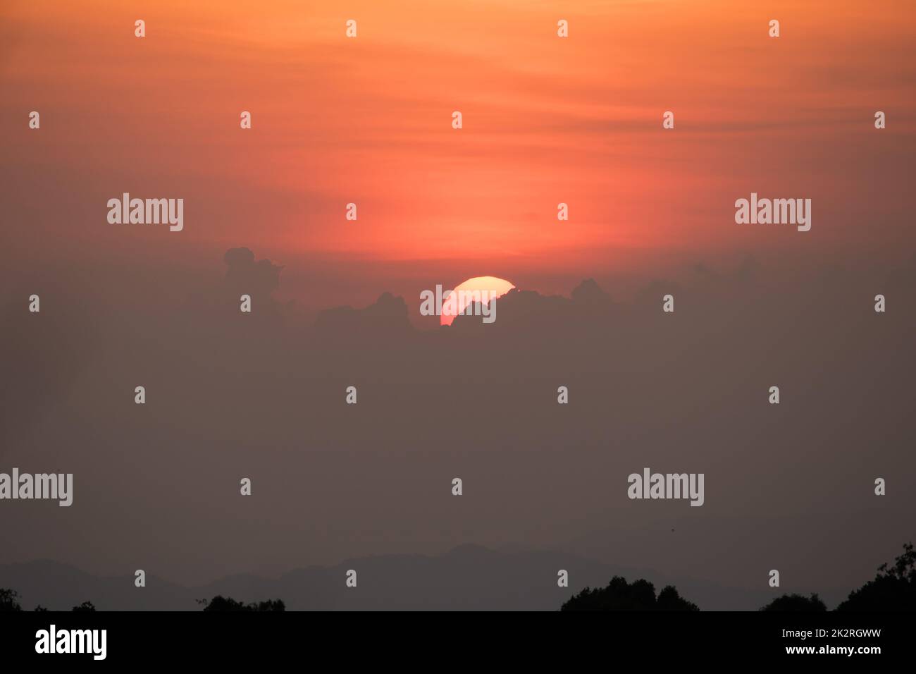 Le soleil se lève au-dessus du sommet de l'arbre. Banque D'Images