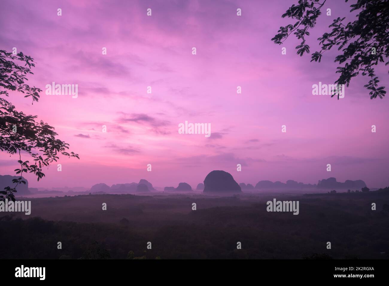 Le soleil se lève au-dessus du sommet de l'arbre. Banque D'Images