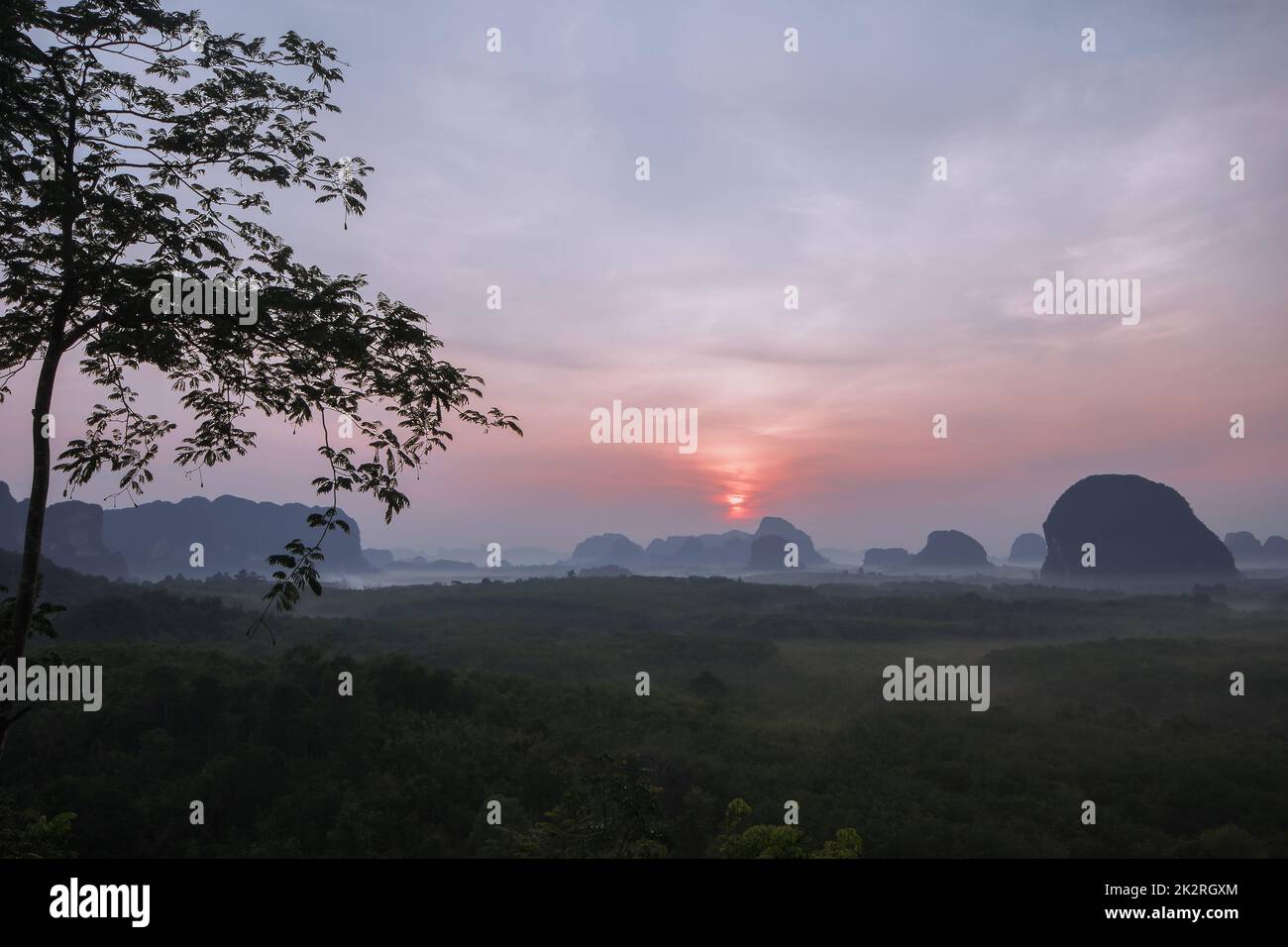 Le soleil se lève au-dessus du sommet de l'arbre. Banque D'Images