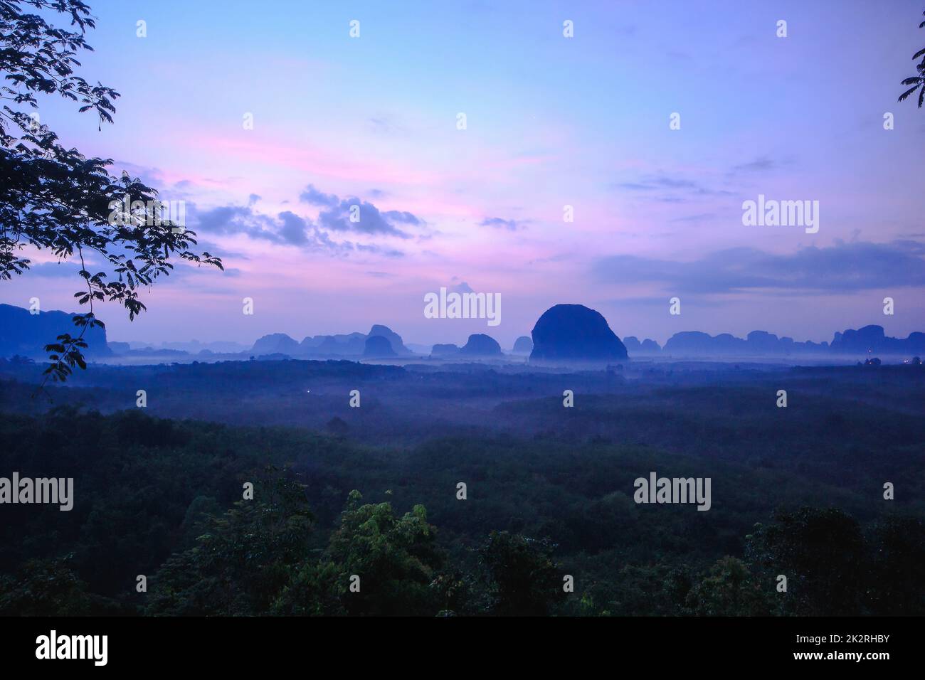 Le soleil se lève au-dessus du sommet de l'arbre. Banque D'Images