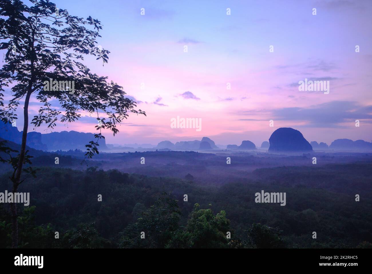 Le soleil se lève au-dessus du sommet de l'arbre. Banque D'Images