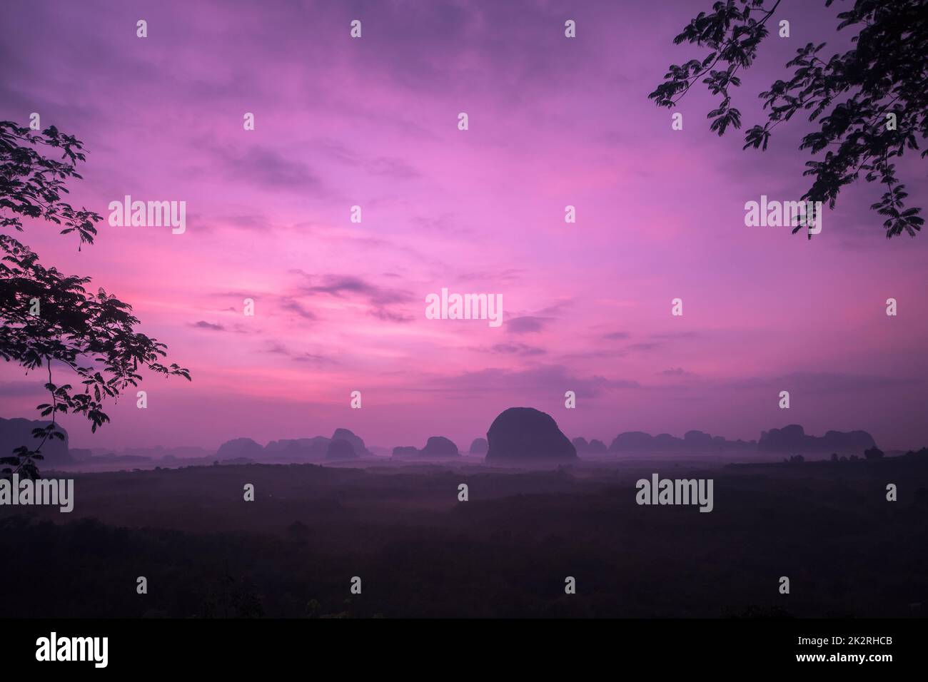 Le soleil se lève au-dessus du sommet de l'arbre. Banque D'Images