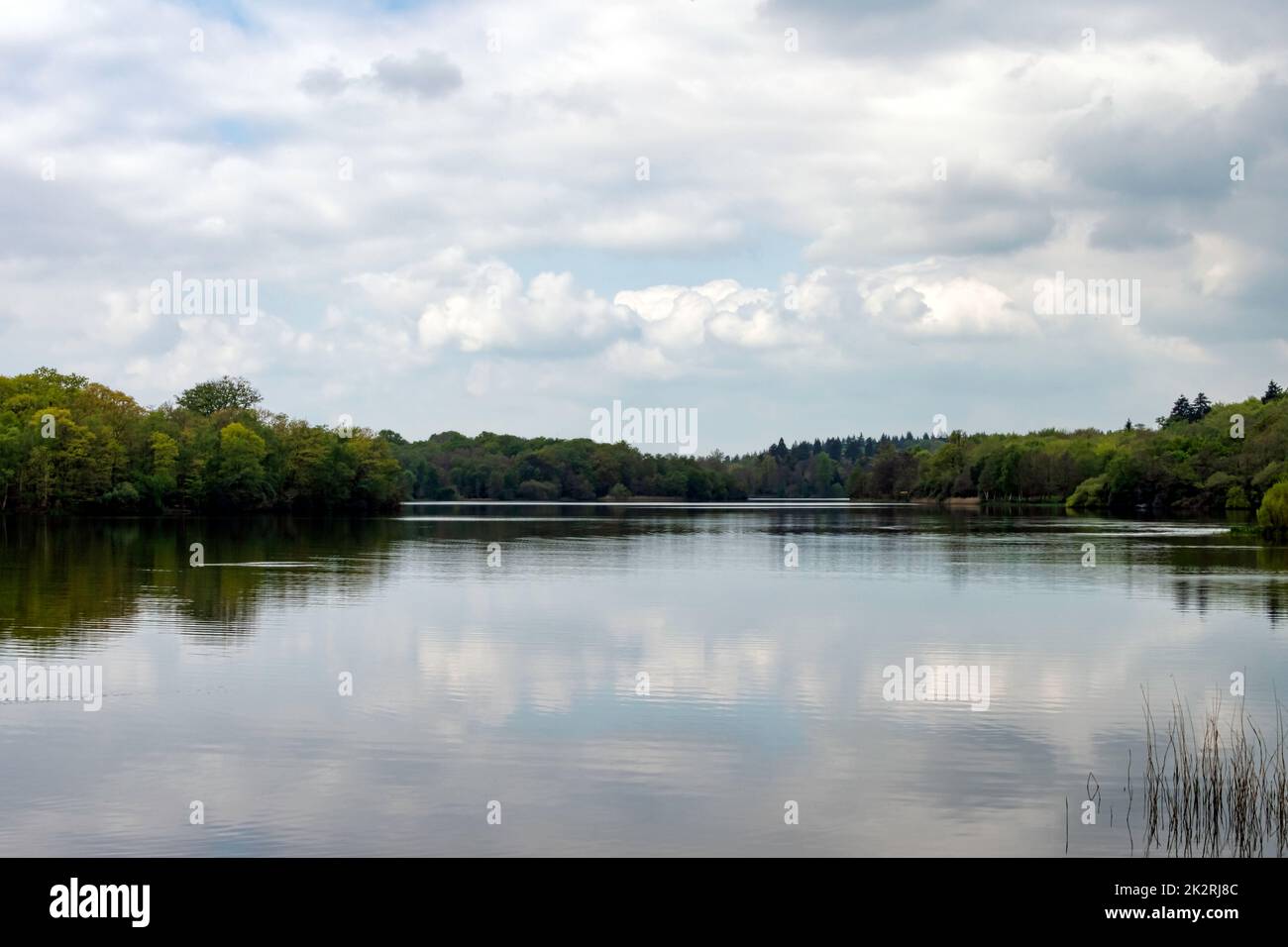 Virginia Water Lake à Windsor Great Park, Royaume-Uni Banque D'Images