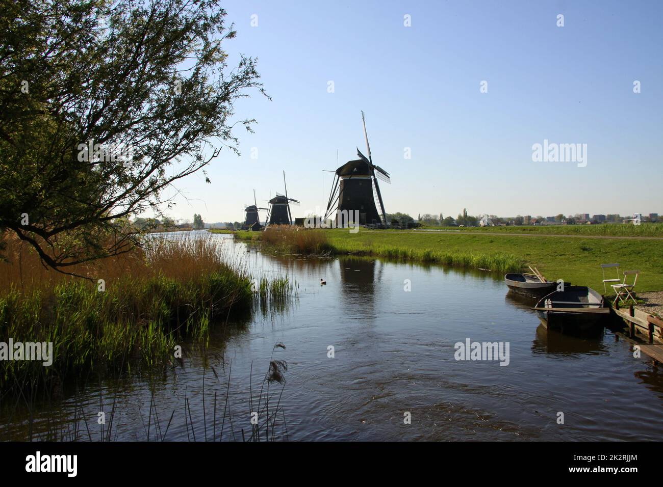 paysage hollandais avec 3 moulins à vent Banque D'Images