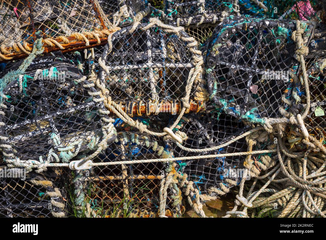 Casiers à pêche vue rapprochée Banque D'Images