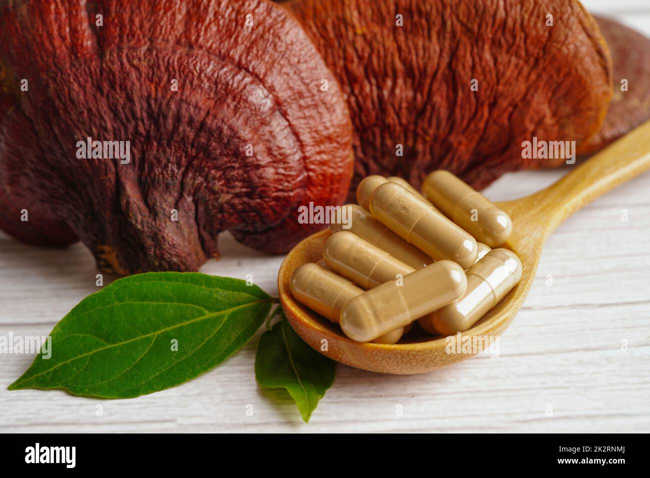 Champignons de Lingzhi ou Reishi avec capsules, nourriture naturelle biologique saine. Banque D'Images