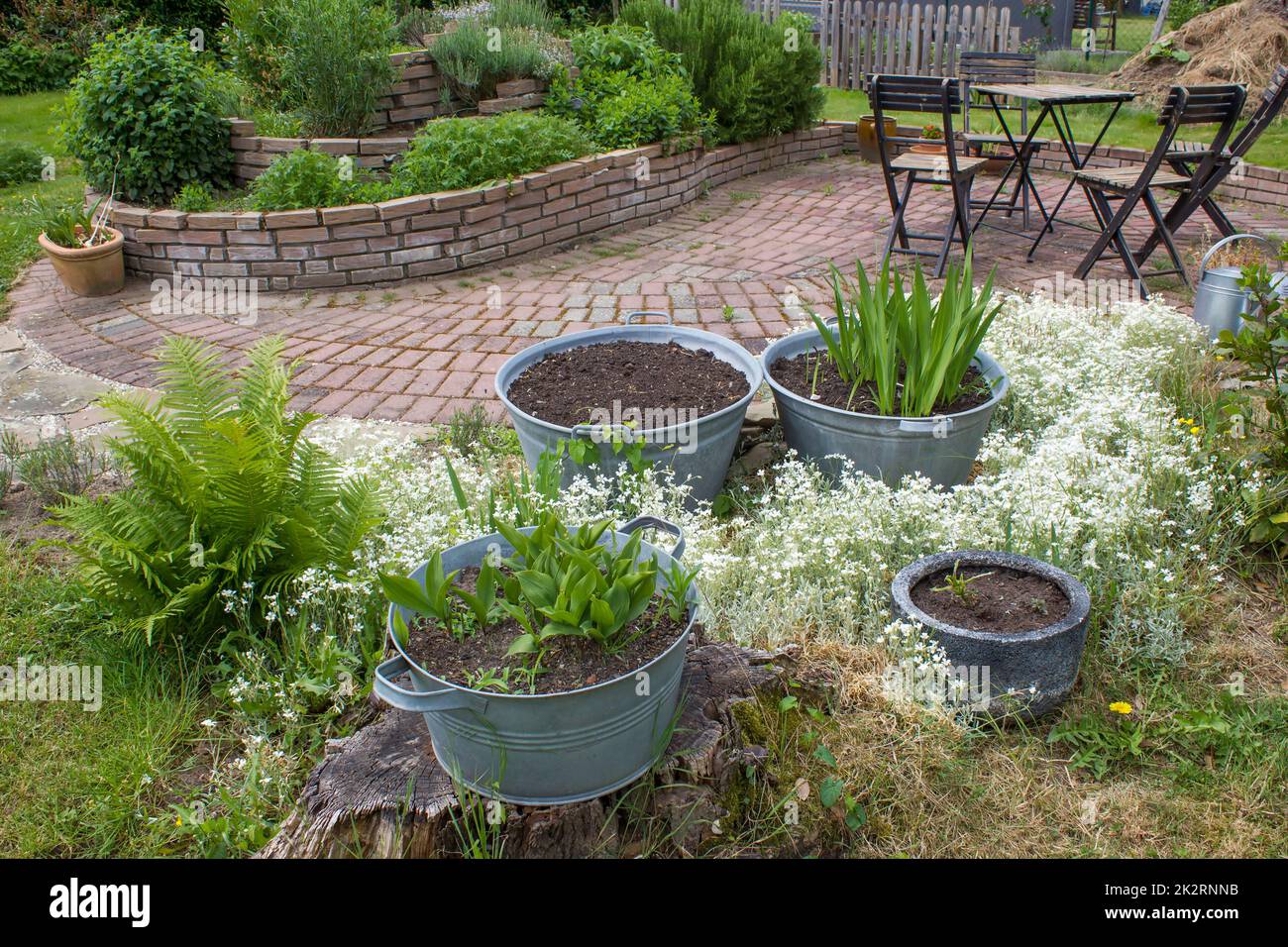 jardin rustique - fougère, plantes dans la baignoire en étain, spirale d'herbes, chaises et table Banque D'Images