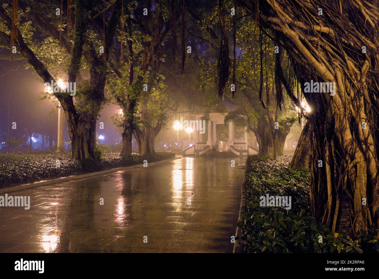 Shanghai People's Park avec du brouillard dans la nuit, Chine Banque D'Images
