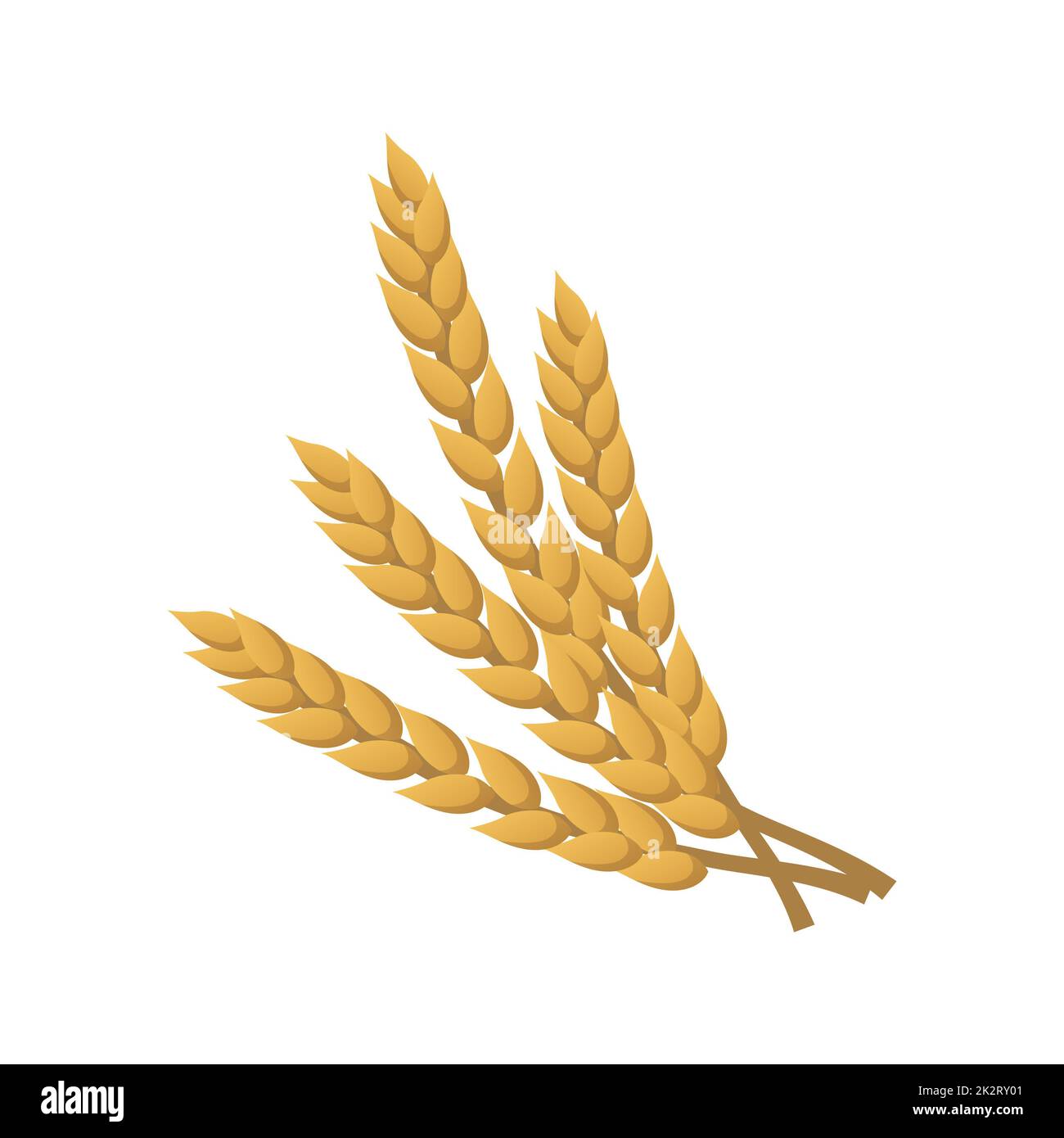Épis de blé doré isolés sur blanc - Vector Banque D'Images
