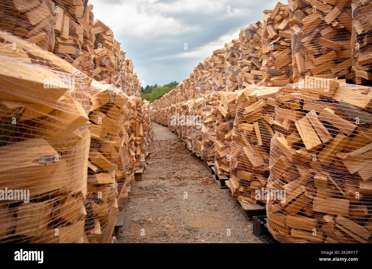 de nombreuses piles de bois de feu haché naturel en plein air en plein jour naturel Banque D'Images