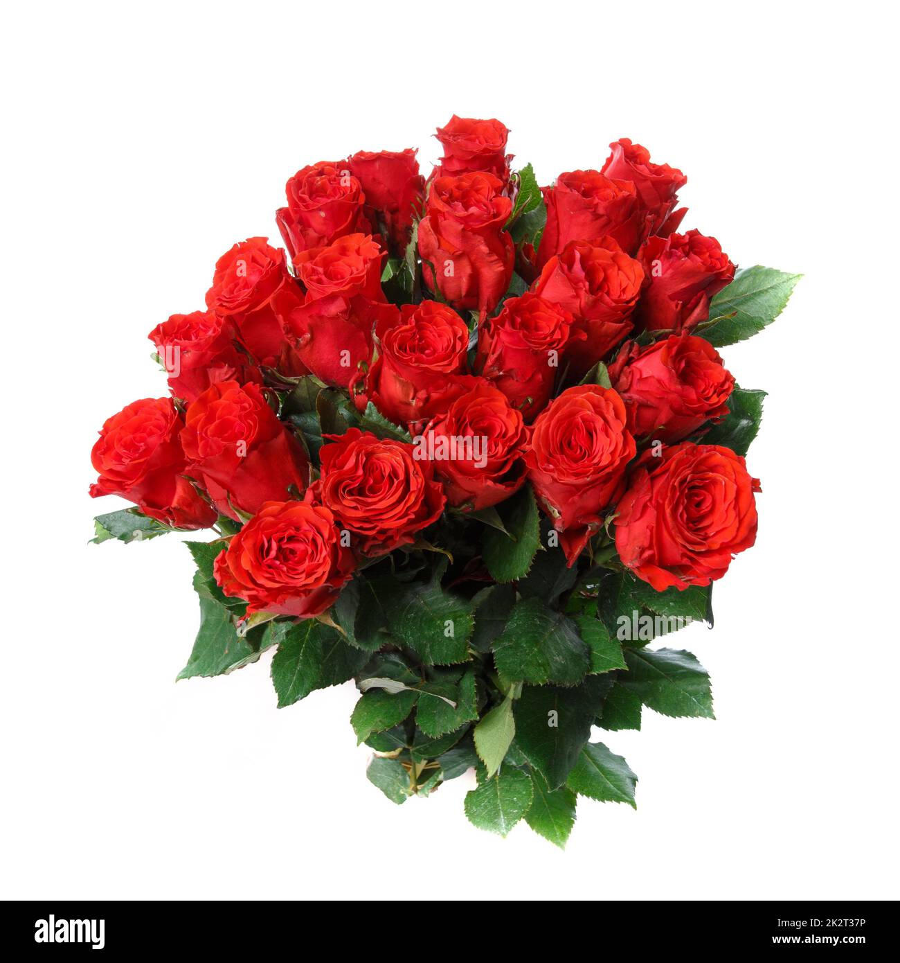 Bouquet de roses rouges isolé sur fond blanc. Banque D'Images