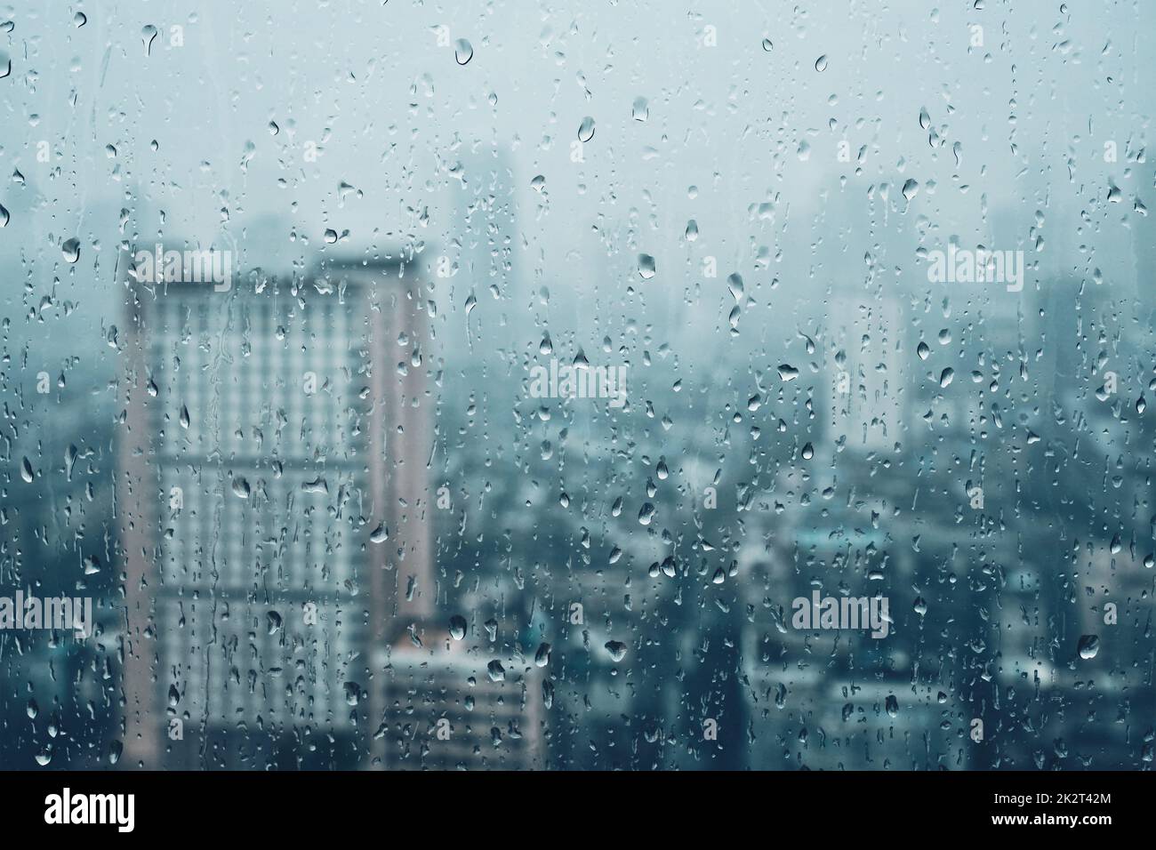 Gouttes de pluie sur la fenêtre Banque D'Images