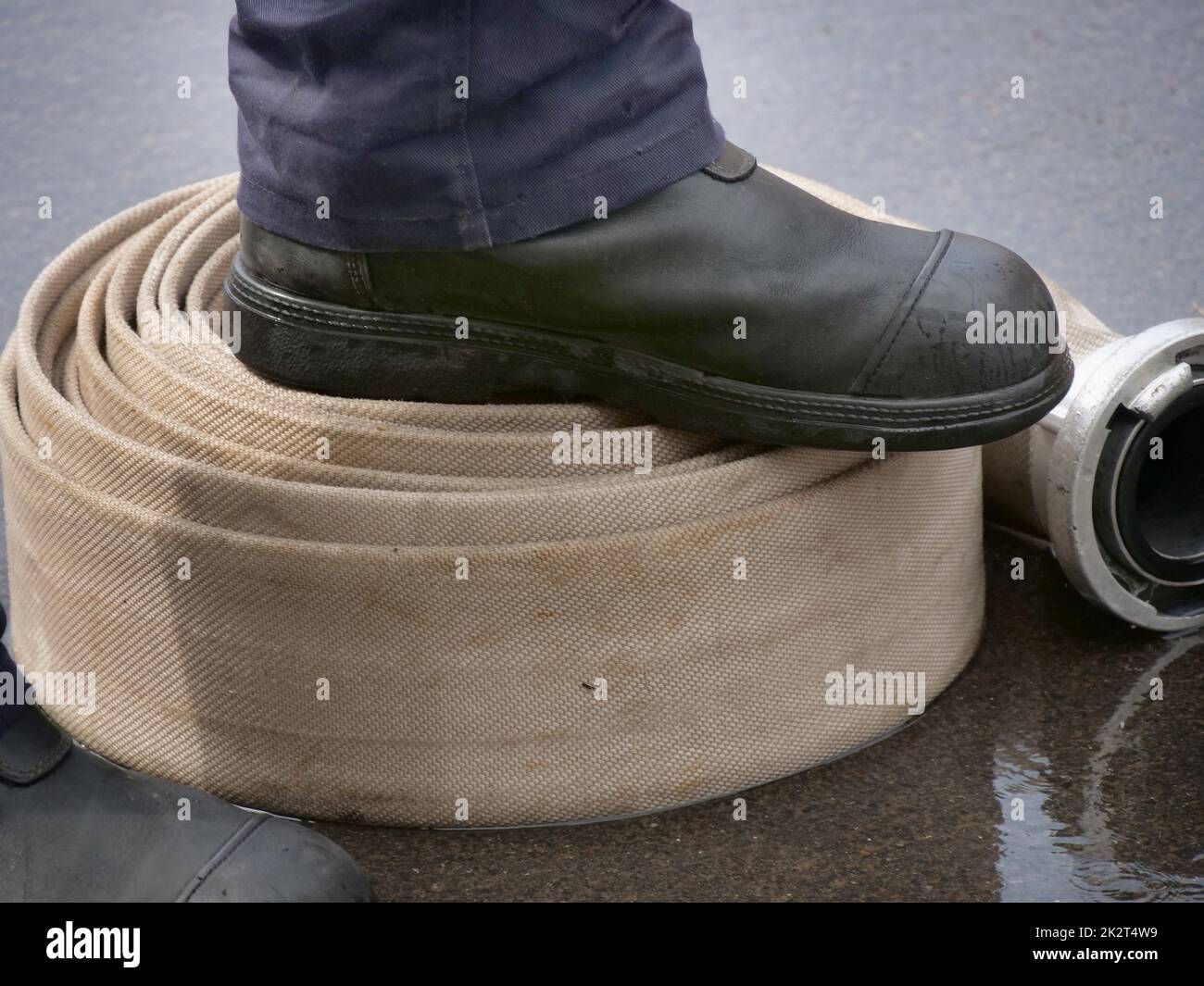 Pompiers Allemagne dans diverses actions comme une image symbolique. Banque D'Images