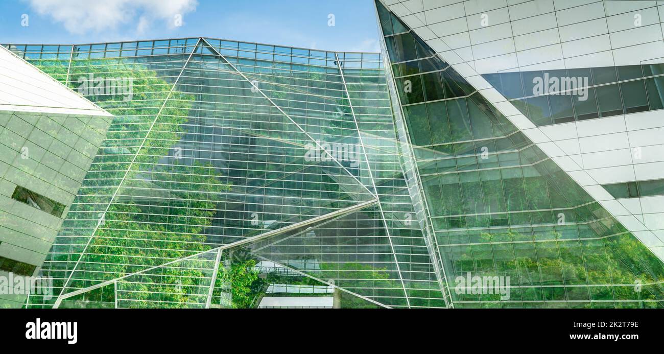 Bâtiment écologique dans la ville moderne. Bâtiment de bureau durable en verre avec arbre pour réduire la chaleur et le dioxyde de carbone. Bâtiment de bureau avec environnement vert. Réduction du bâtiment d'entreprise CO2. Banque D'Images