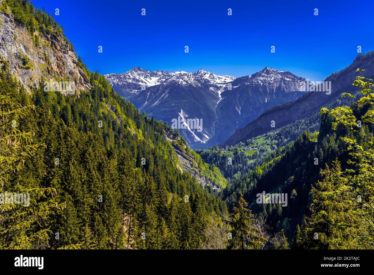 Alpes montagnes couvertes de pinède, Leukerbad, Leuk, Visp Banque D'Images