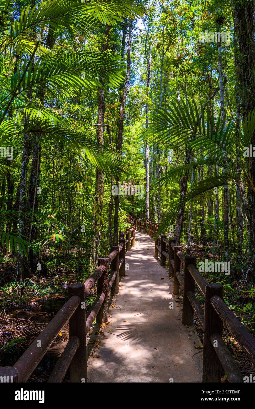 Emerald Pool, parc national de Yosemite, Krabi, Thaïlande, Wooden pa Banque D'Images