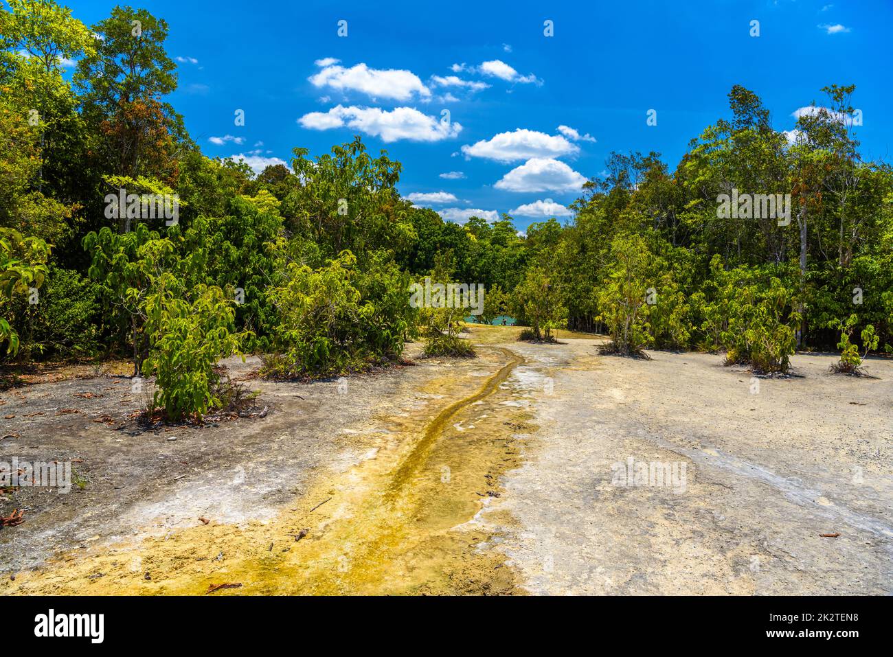 Emerald Pool, parc national de Yosemite, Krabi, Thaïlande, riv Banque D'Images