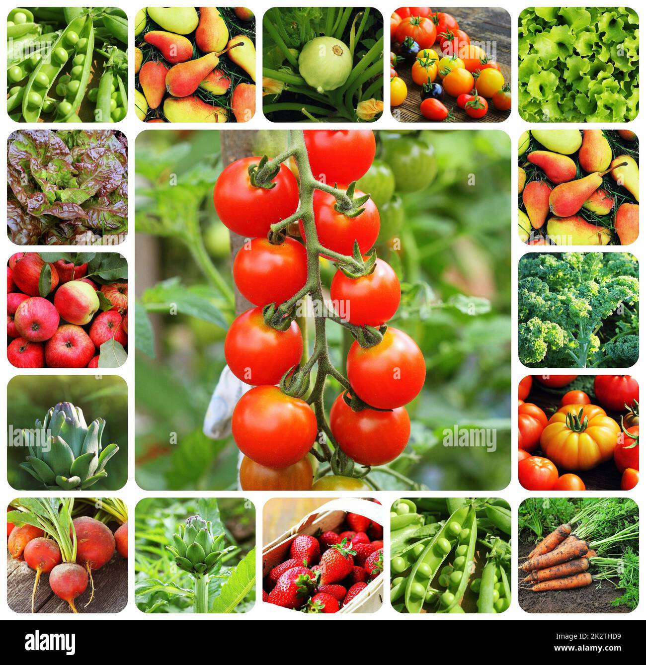 Collage de légumes - produits du potager. La saine alimentation consept. Arrière-plan de jardinage Banque D'Images