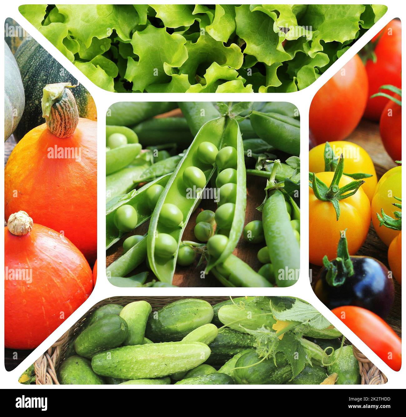 Collage de légumes - produits du potager. La saine alimentation consept. Arrière-plan de jardinage Banque D'Images