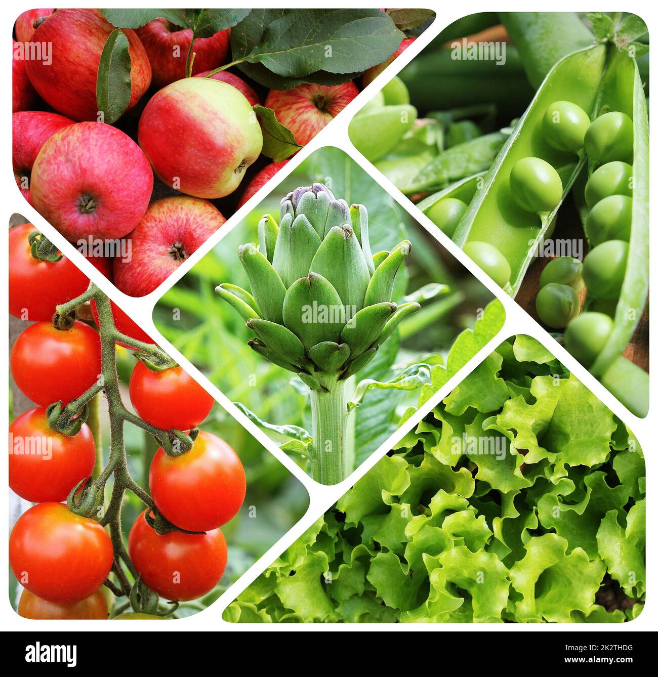 Collage de légumes - produits du potager. La saine alimentation consept. Arrière-plan de jardinage Banque D'Images