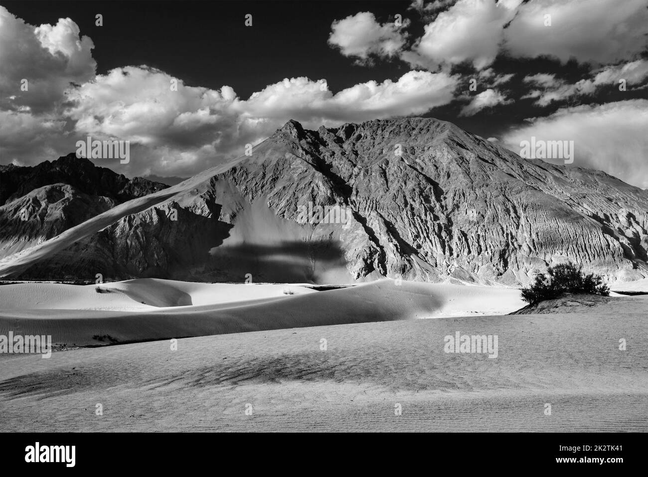 Les dunes de sable. La vallée de Nubra, Ladakh, Inde Banque D'Images