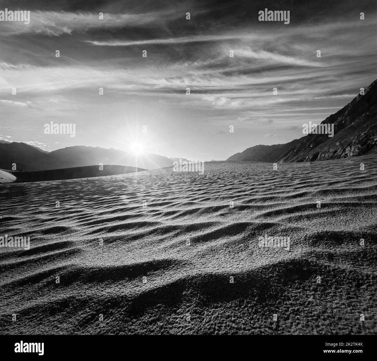 Les dunes de sable. La vallée de Nubra, Ladakh, Inde Banque D'Images