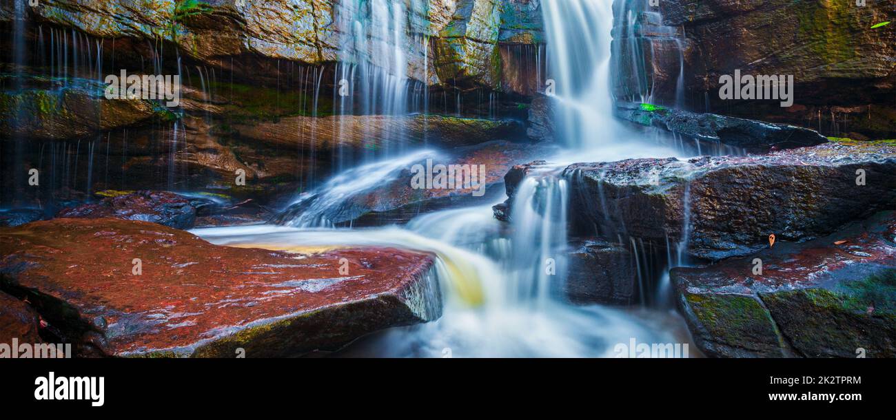 Cascade tropicale dans la jungle panorama Banque D'Images