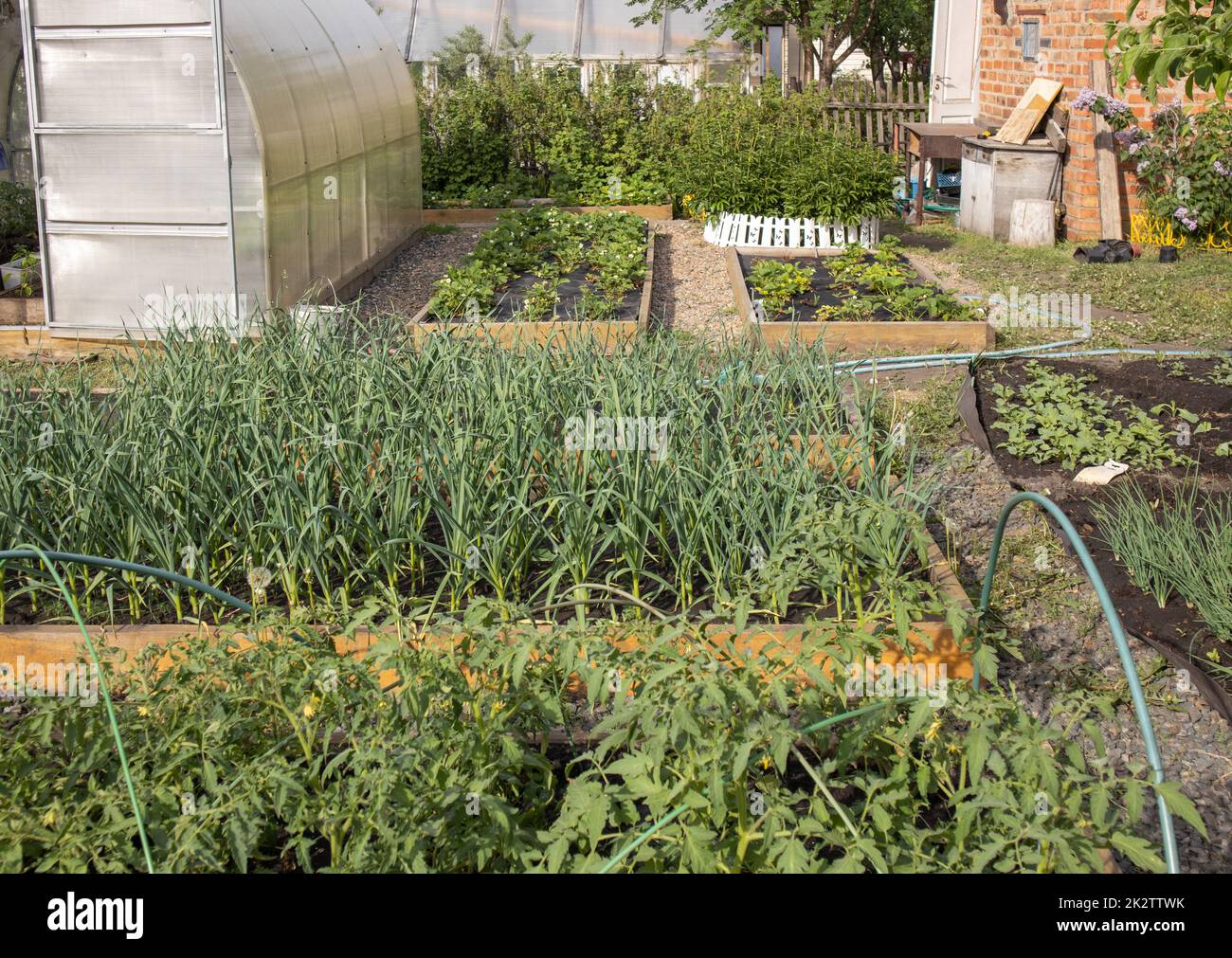 Un paysage d'été d'un jardin et d'un potager avec une serre, des lits de fleurs et des lits, un bâtiment en brique en arrière-plan, le concept d'une ferme de campagne Banque D'Images