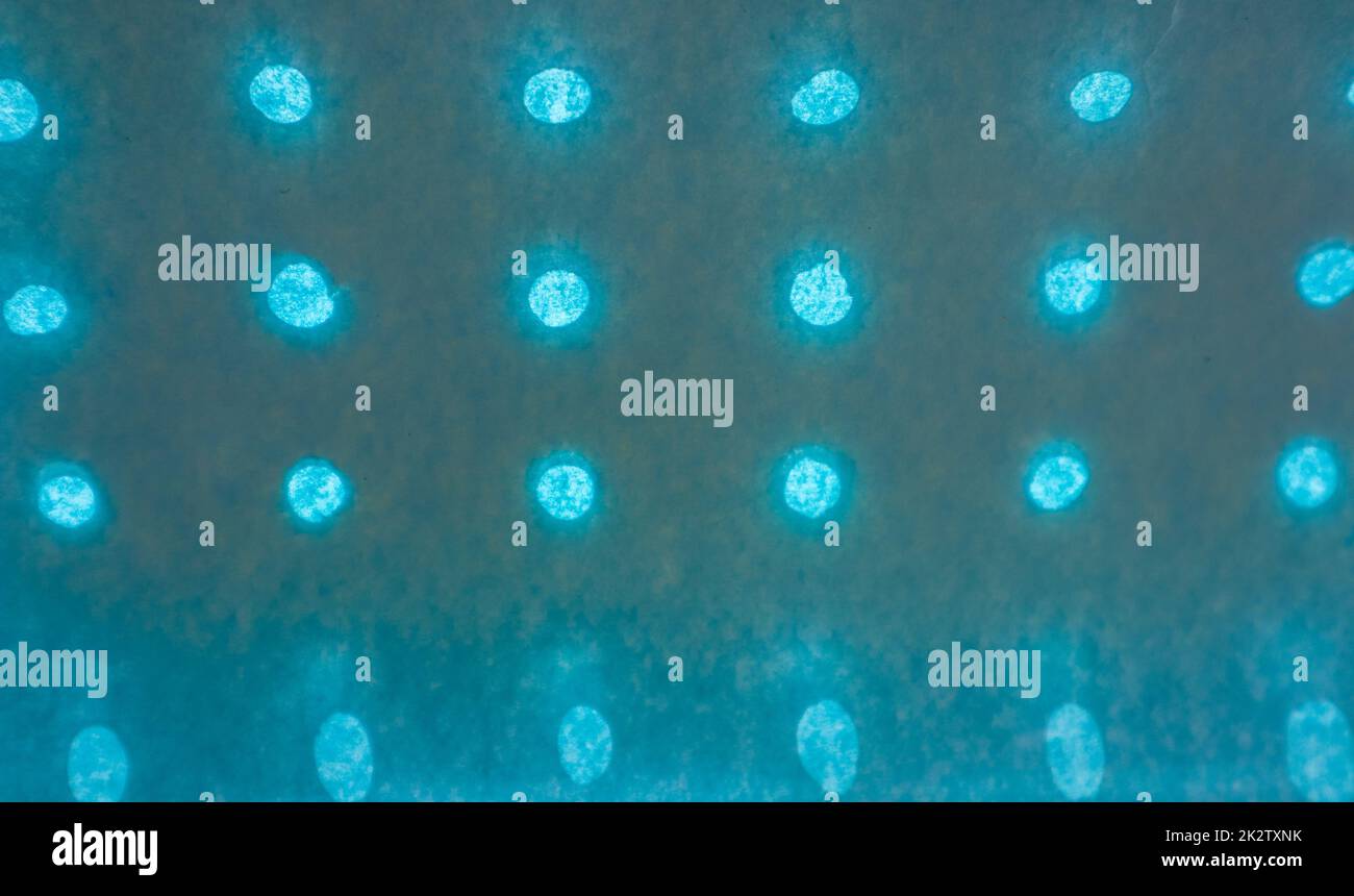 Arrière-plan abstrait fait de papier bleu avec des trous disposés sur une rangée et lumineux sur un arrière-plan de lumière Banque D'Images