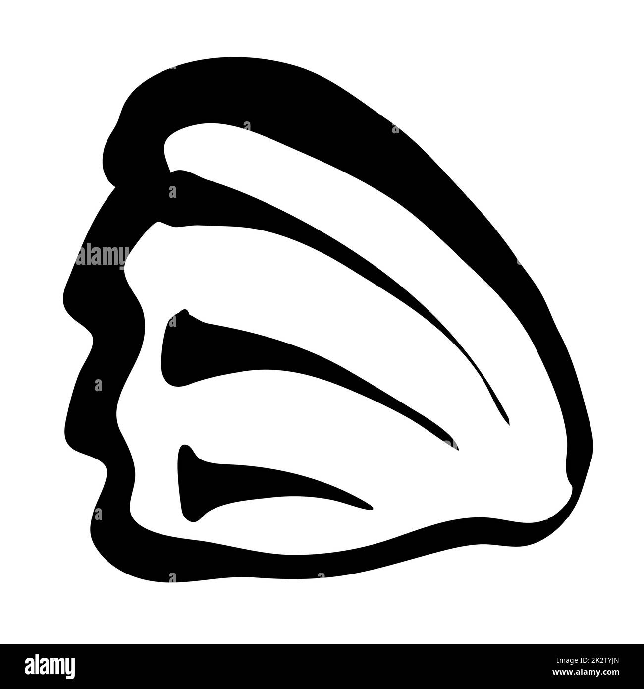 Coque de mer peinte à la main avec un coup de pinceau Banque D'Images Coque de mer peinte à la main avec un coup de pinceau Banque D'Images