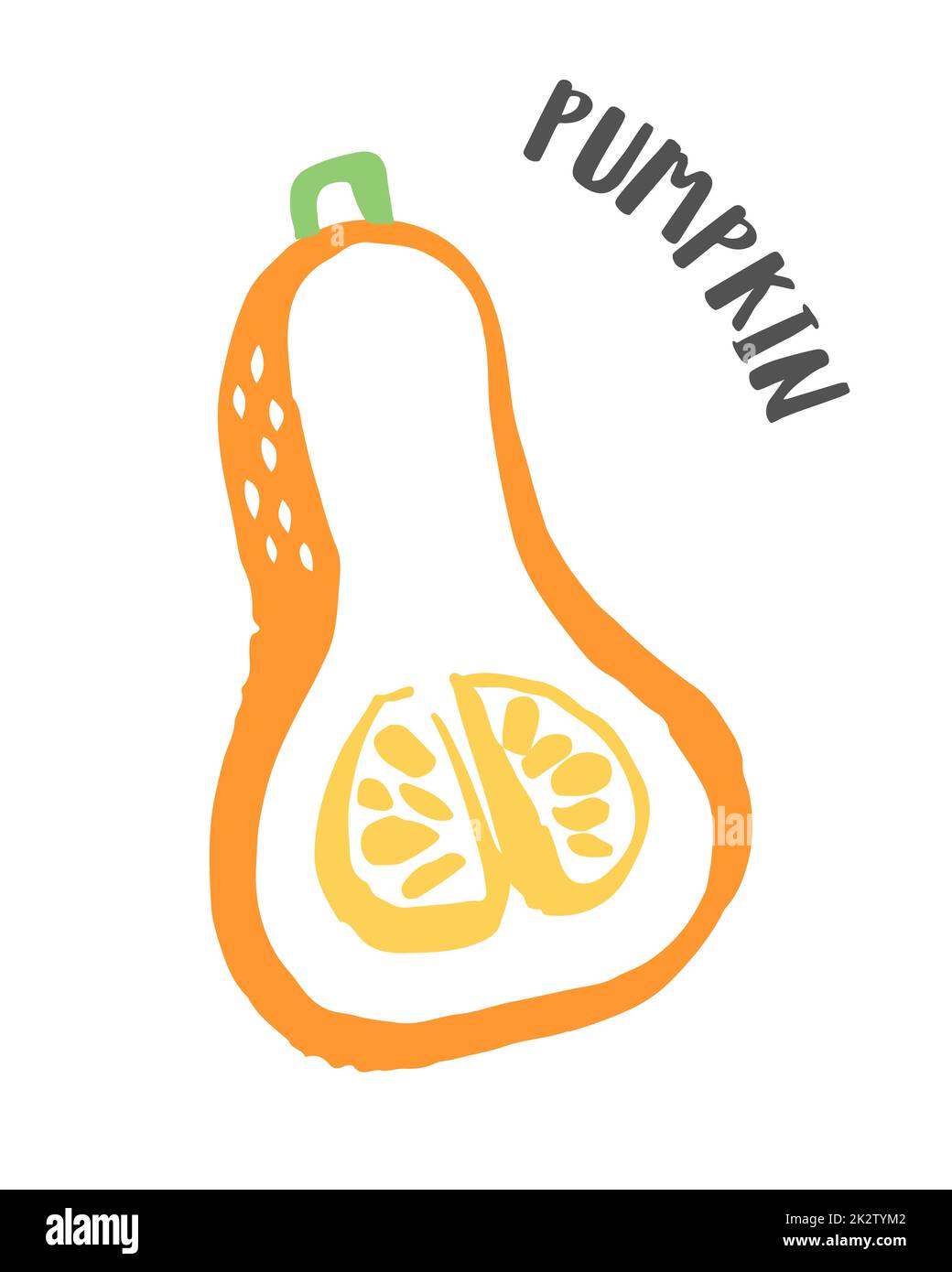 Courge musqué peint à la main avec une brosse à encre isolée sur fond blanc Banque D'Images Courge musqué peint à la main avec une brosse à encre isolée sur fond blanc Banque D'Images