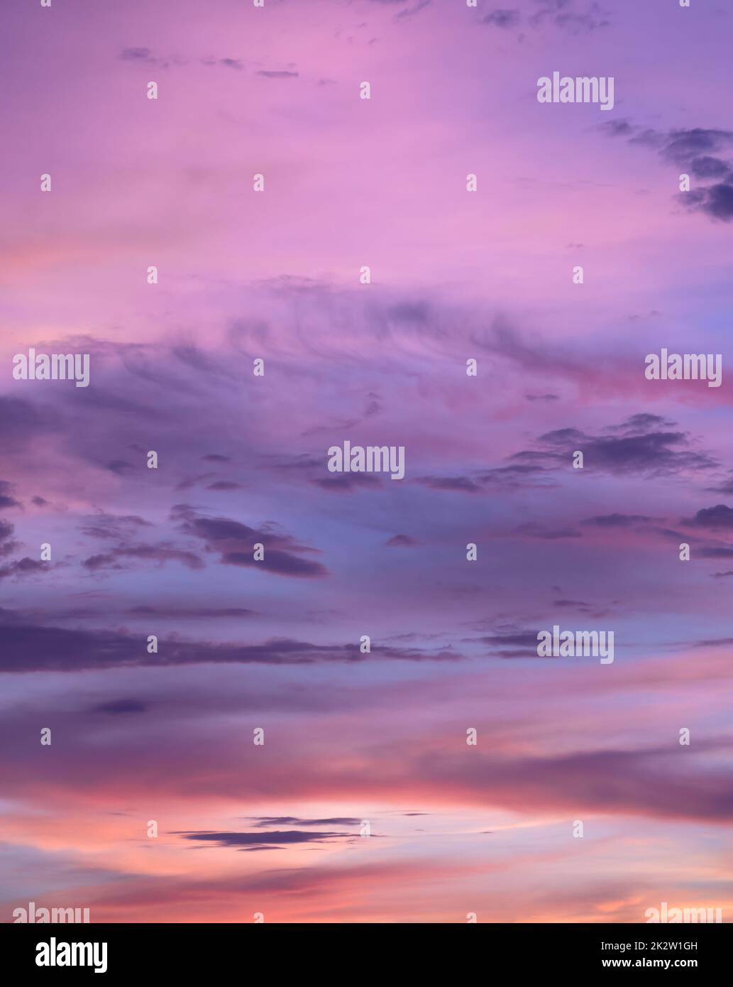 Rose coucher de soleil nuages ciel fond. Banque D'Images