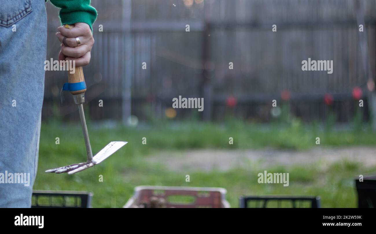 Une femme caucasienne jardinière dans le jardin montre un râteau. Le concept de jardinage et d'été durable. Main de femme avec un outil de jardin. Peigne à hache pour le jardinage dans les mains des femmes. Placer pour le texte. Banque D'Images