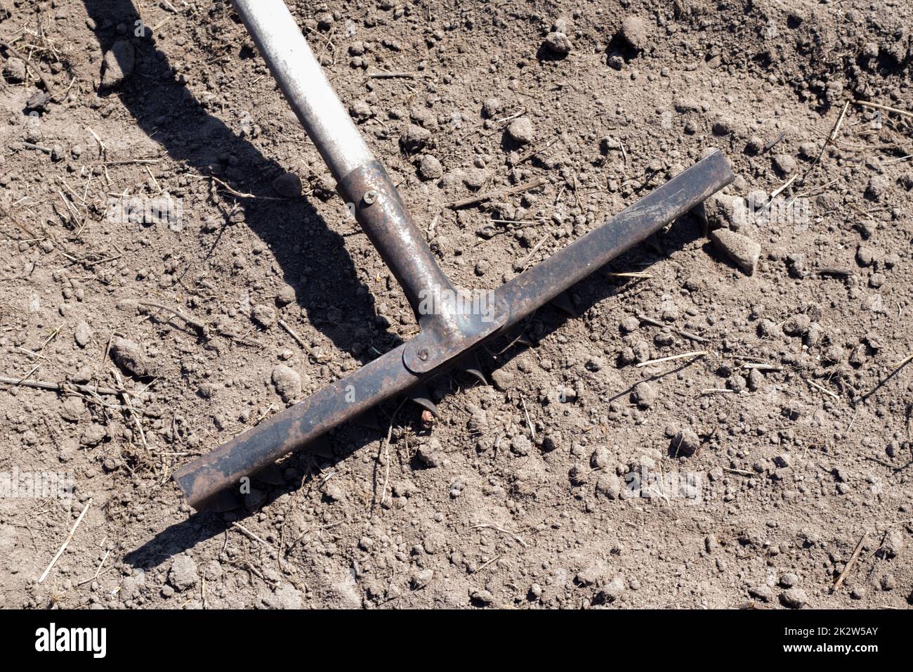 Photo d'un râteau de jardin sur un lit. Ancien râteau de métal dans le jardin. Nettoyage du ressort. Formation du sol pour la plantation avec un râteau au printemps, travailler avec un outil de jardin. Préparation du sol pour le semis. Banque D'Images